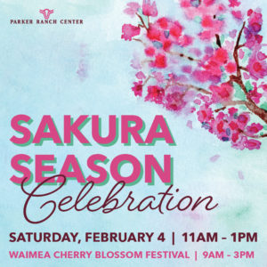 Sakura Season Celebration