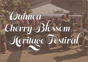Waimea Cherry Blossom Heritage Festival scene