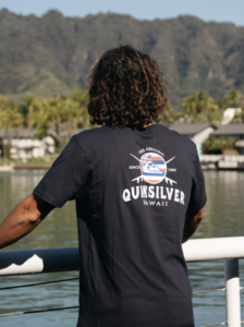 30% Off All Roxy & Quiksilver T-shirts
