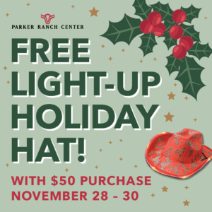 FREE* Light-Up Holiday Hat!