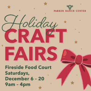 Holiday Craft Fairs