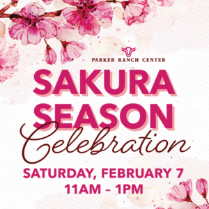 Sakura Season Celebration